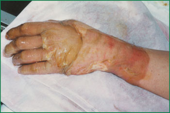 bte·365(中国)体育在线官网