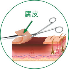 bte·365(中国)体育在线官网