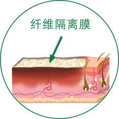 bte·365(中国)体育在线官网