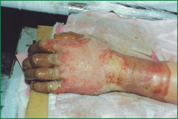 bte·365(中国)体育在线官网