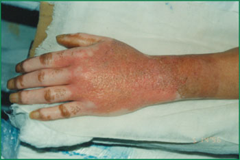 bte·365(中国)体育在线官网