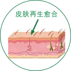 bte·365(中国)体育在线官网
