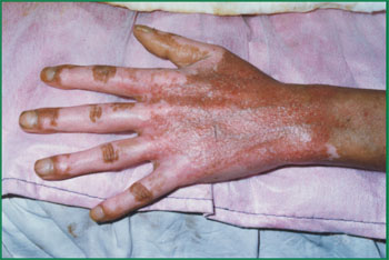 bte·365(中国)体育在线官网