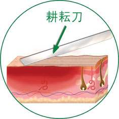 bte·365(中国)体育在线官网