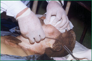 bte·365(中国)体育在线官网