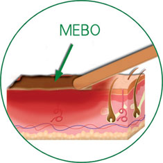bte·365(中国)体育在线官网