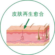 bte·365(中国)体育在线官网
