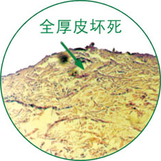 bte·365(中国)体育在线官网