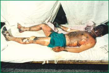 bte·365(中国)体育在线官网