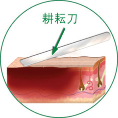 bte·365(中国)体育在线官网