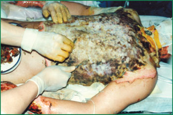 bte·365(中国)体育在线官网