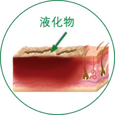 bte·365(中国)体育在线官网