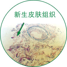 bte·365(中国)体育在线官网