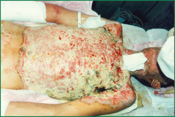 bte·365(中国)体育在线官网