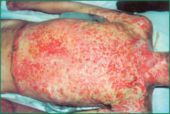 bte·365(中国)体育在线官网