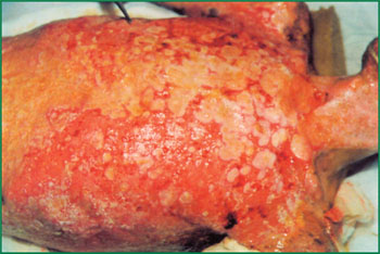 bte·365(中国)体育在线官网