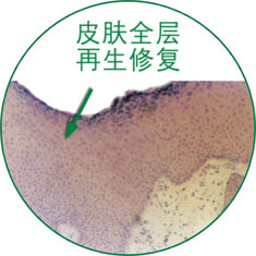 bte·365(中国)体育在线官网