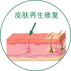 bte·365(中国)体育在线官网