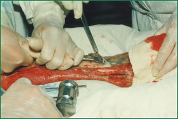 bte·365(中国)体育在线官网