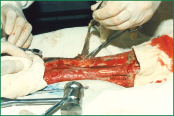 bte·365(中国)体育在线官网