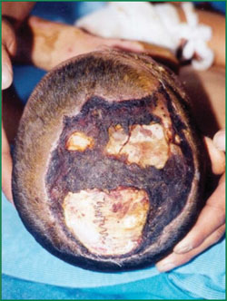 bte·365(中国)体育在线官网