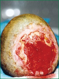 bte·365(中国)体育在线官网