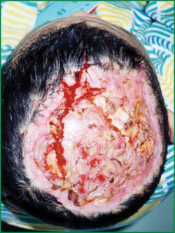 bte·365(中国)体育在线官网