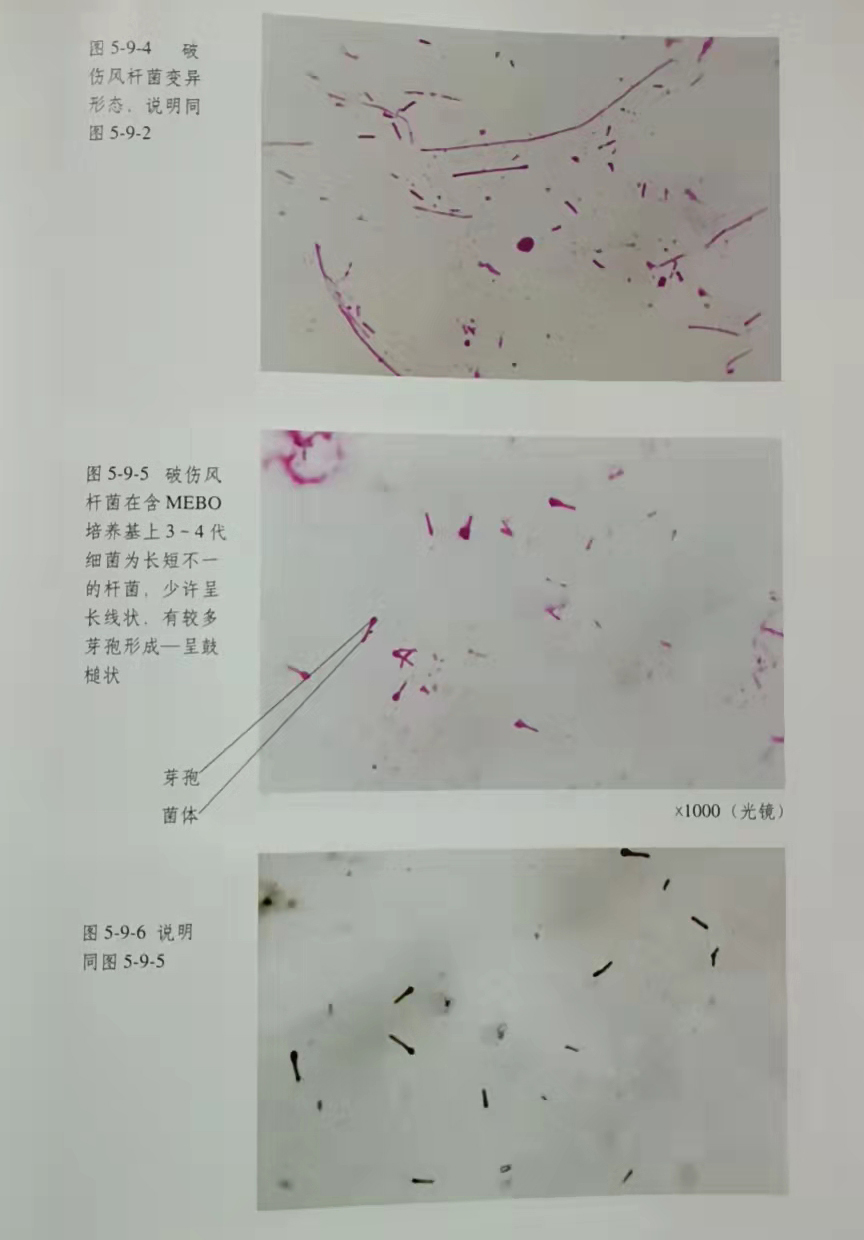 bte·365(中国)体育在线官网