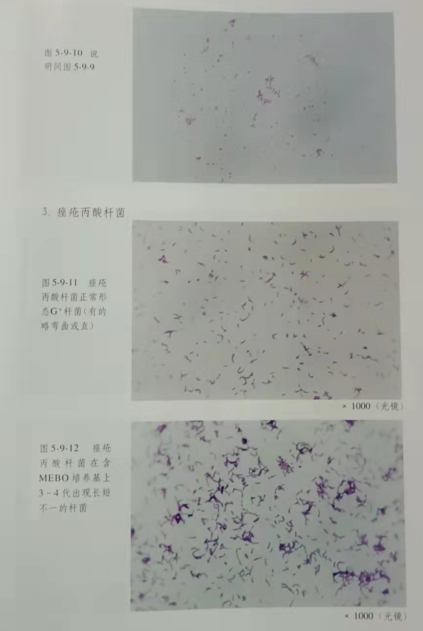 bte·365(中国)体育在线官网