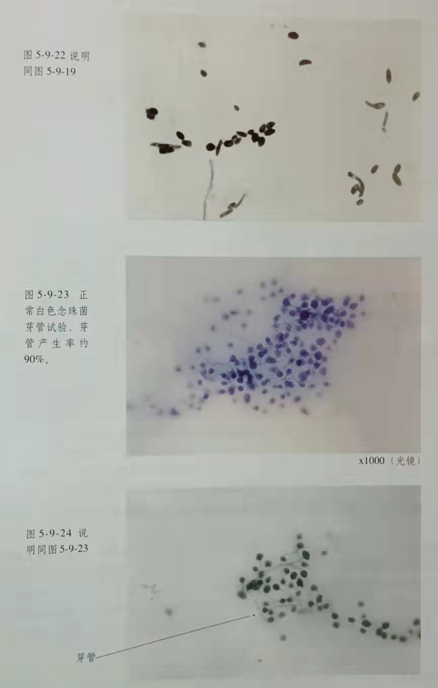 bte·365(中国)体育在线官网