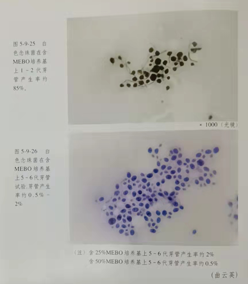 bte·365(中国)体育在线官网