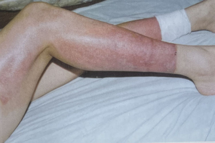 bte·365(中国)体育在线官网