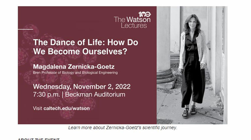 bte·365(中国)体育在线官网