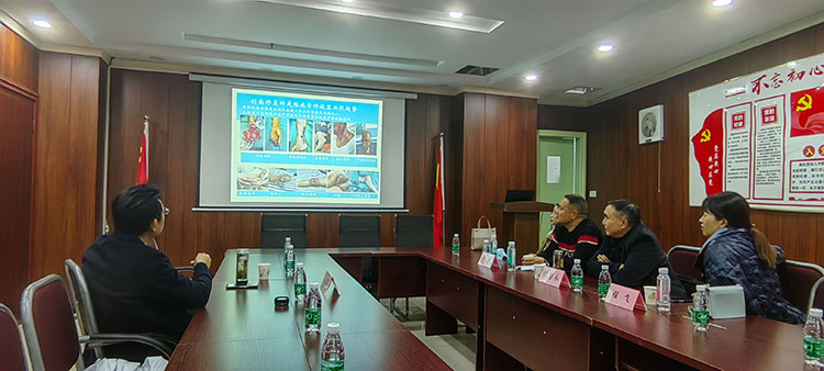 bte·365(中国)体育在线官网