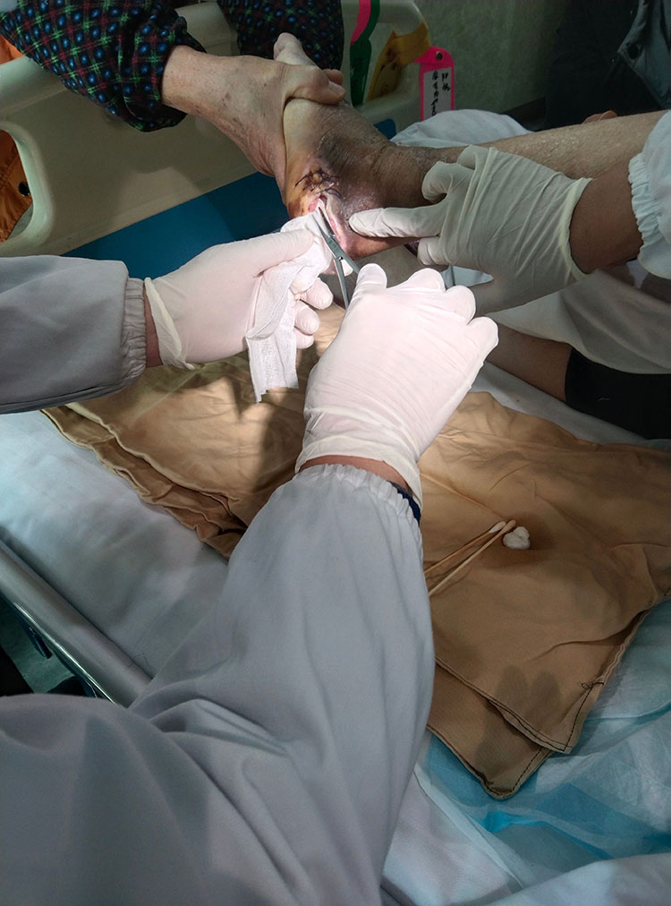 bte·365(中国)体育在线官网