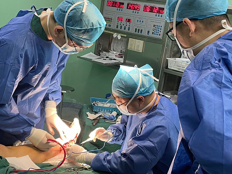 bte·365(中国)体育在线官网