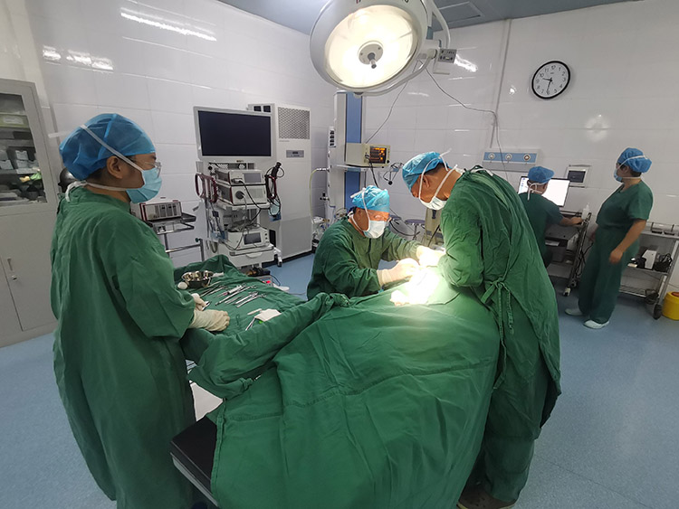 bte·365(中国)体育在线官网