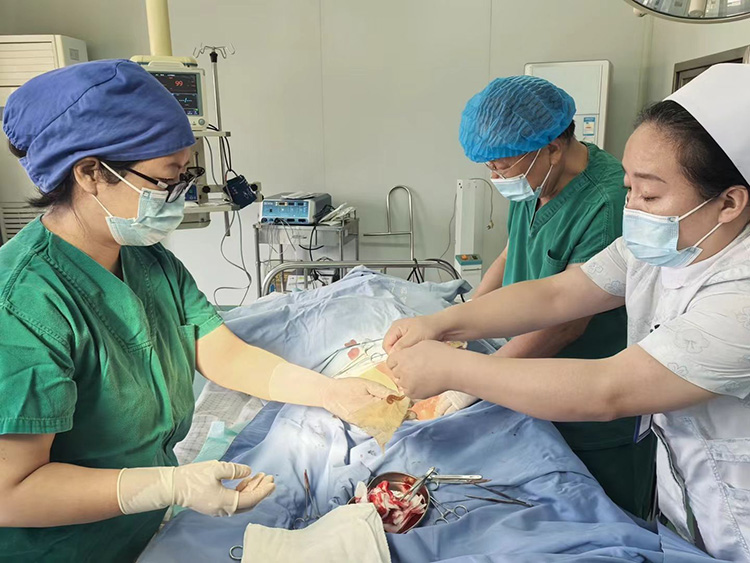 bte·365(中国)体育在线官网