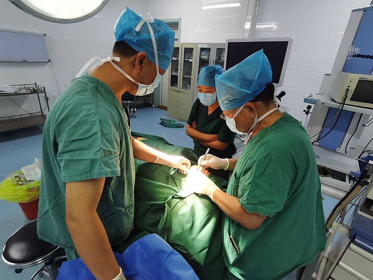 bte·365(中国)体育在线官网