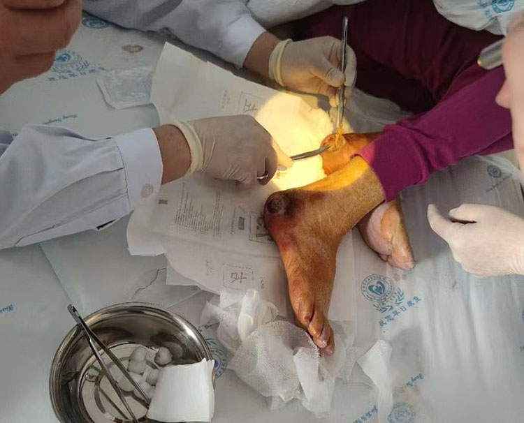 bte·365(中国)体育在线官网