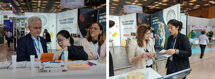 bte·365(中国)体育在线官网