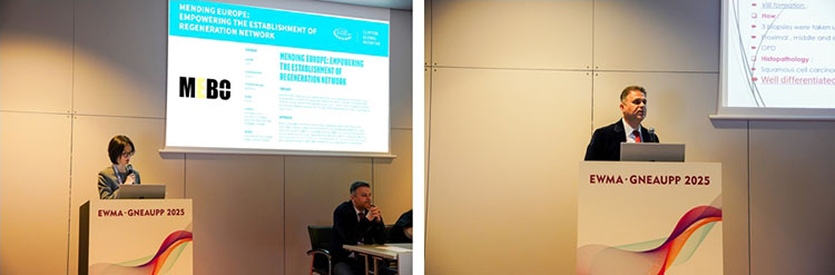 bte·365(中国)体育在线官网