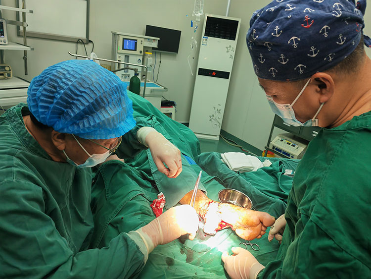 bte·365(中国)体育在线官网