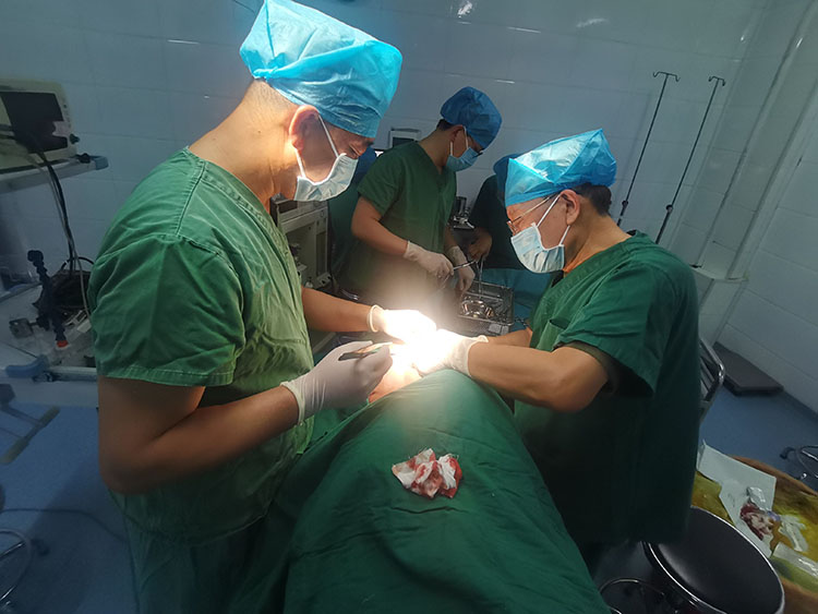 bte·365(中国)体育在线官网