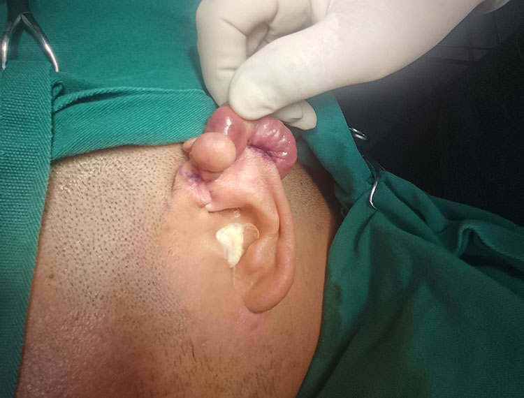 bte·365(中国)体育在线官网