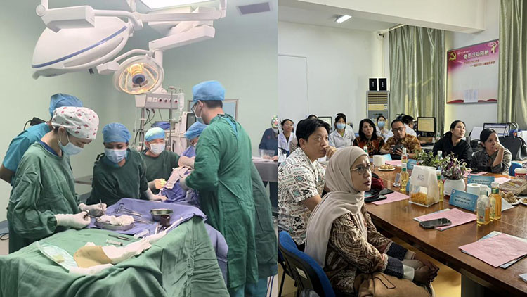 bte·365(中国)体育在线官网