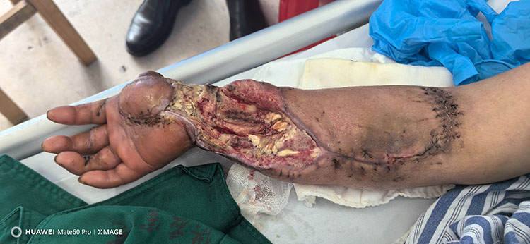 bte·365(中国)体育在线官网