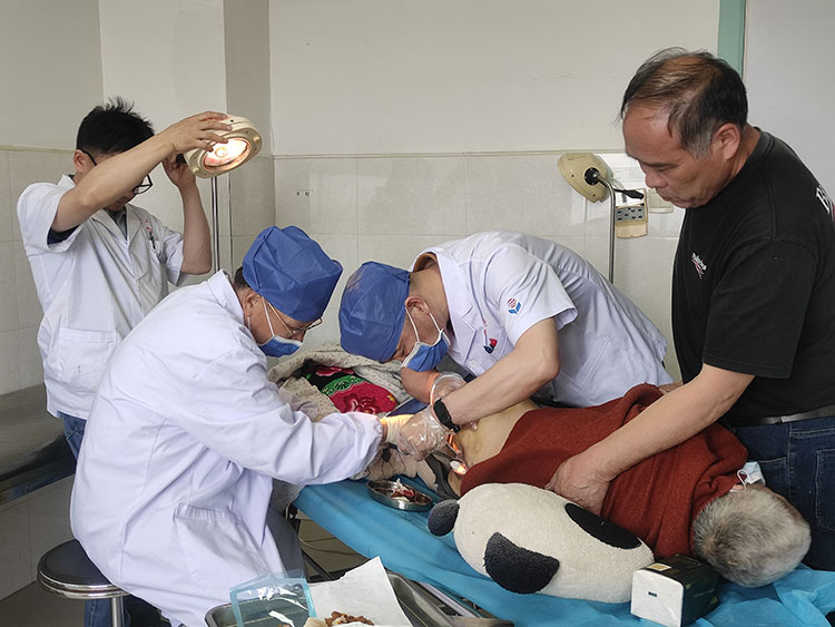 bte·365(中国)体育在线官网