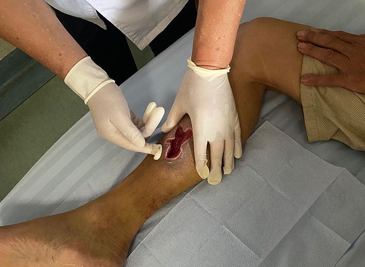 bte·365(中国)体育在线官网