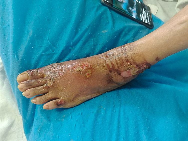 bte·365(中国)体育在线官网